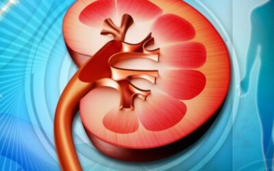 La función renal reducida está ligada a un riesgo elevado de cáncer renal y urotelial